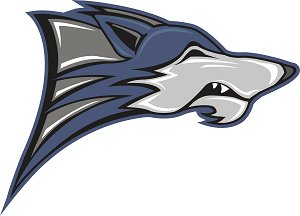 CHS