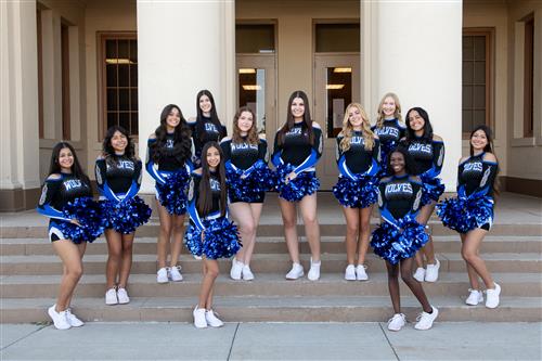 Varsity Pom