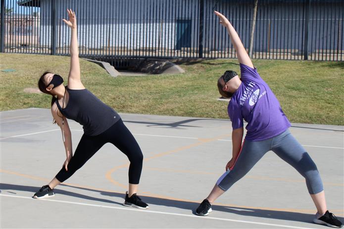 Elective Fun