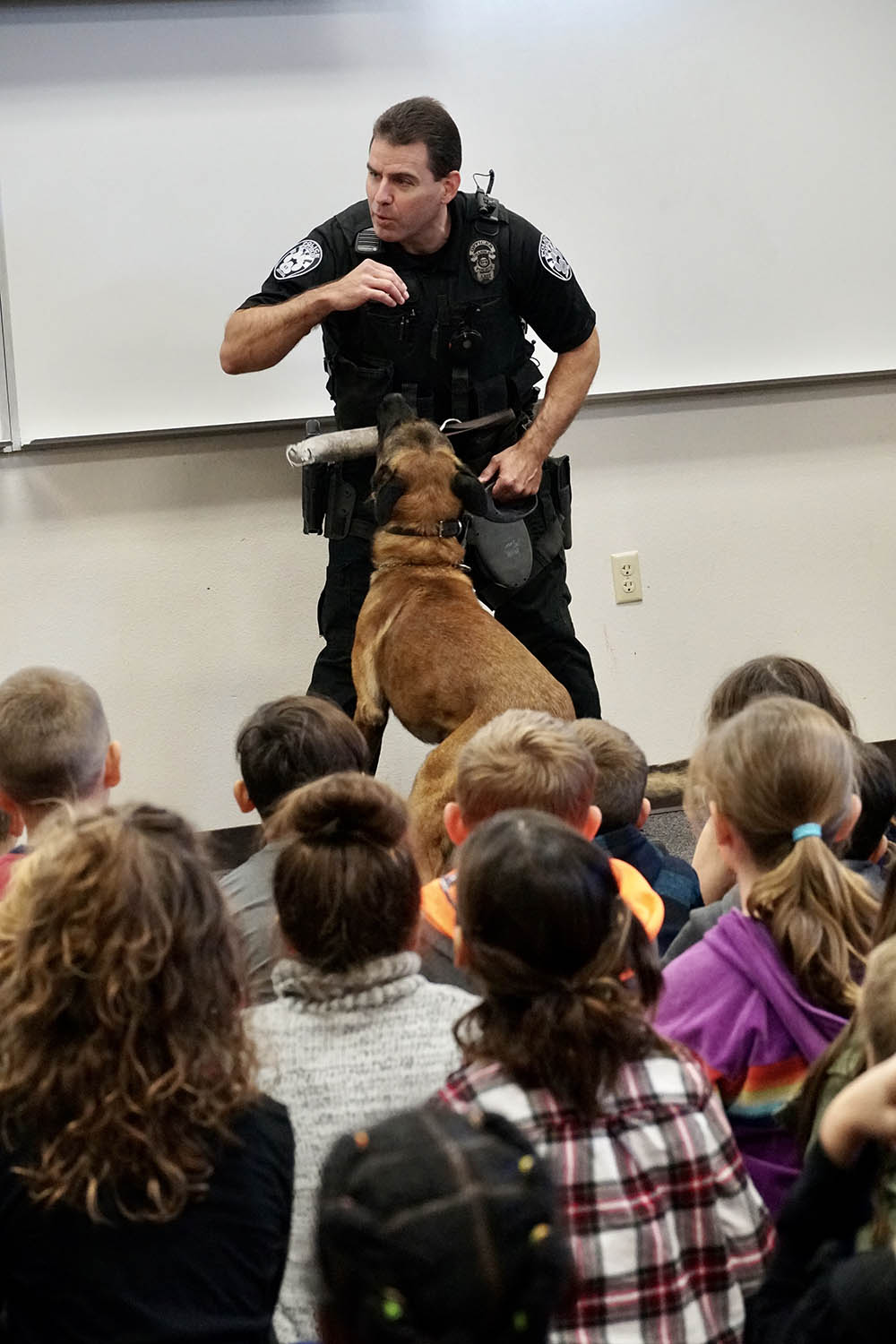 Officer Fitch and K-9