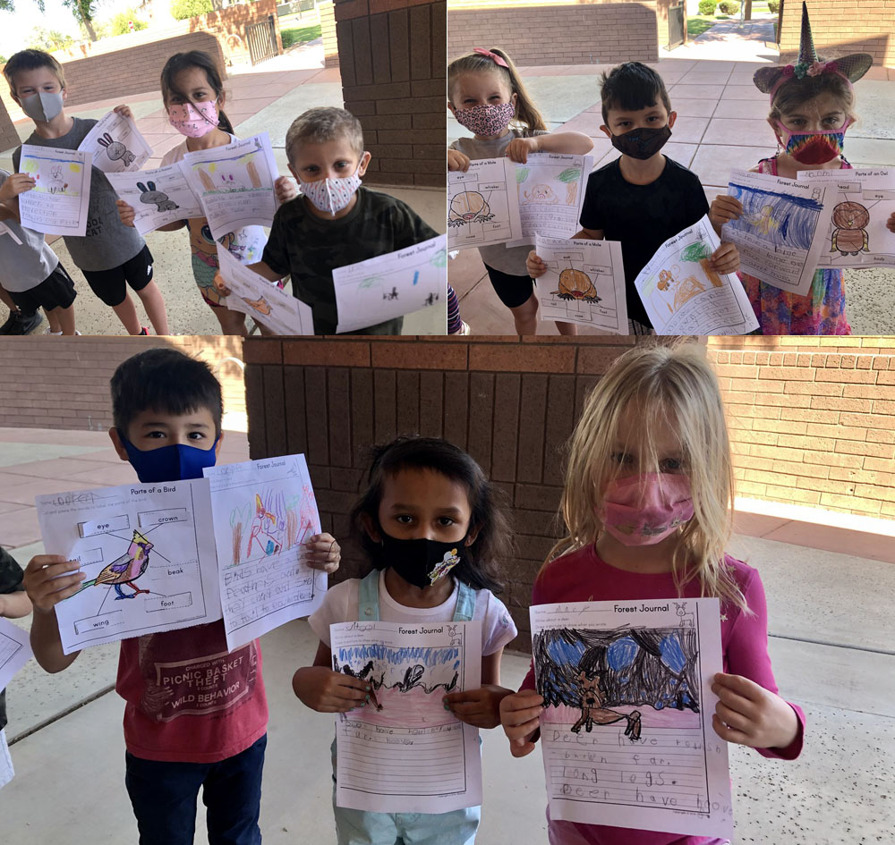 Lit Skills Blooming in Kindergarten