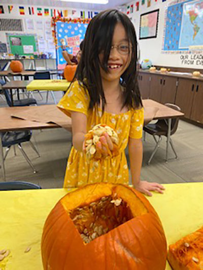 Pumpkin Grammar Study