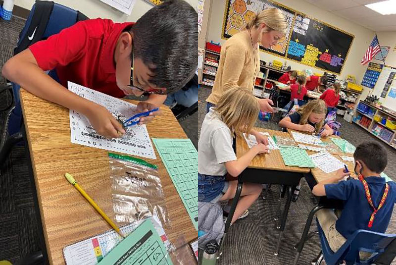 Dissecting Owl Pellets