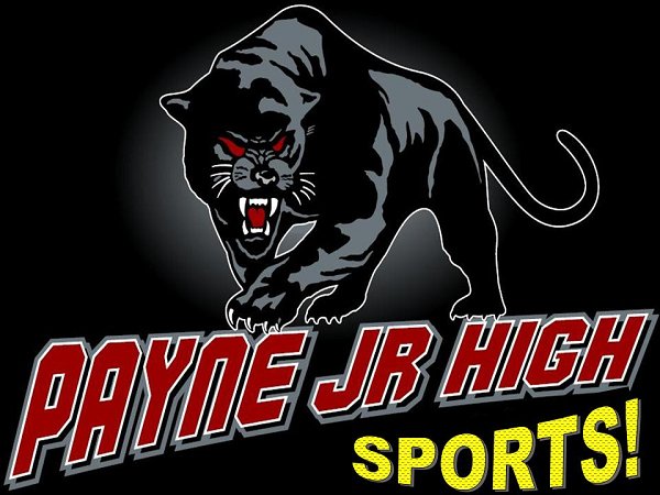 panther logo sports