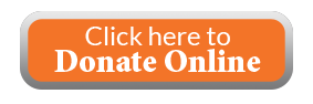 Tax Credit Online 