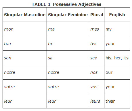 Chapitre 3 Parte 1 Study Guide