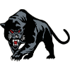 panther panther