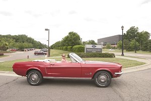 Mustang