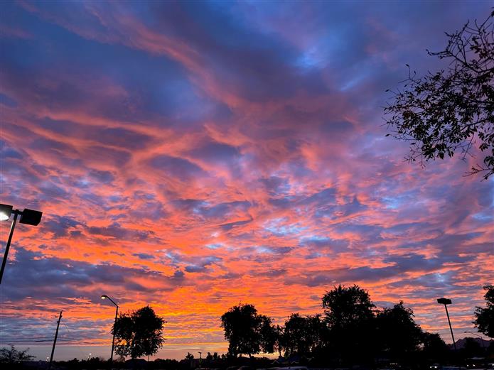 Welcome each new day Welcome each new day
