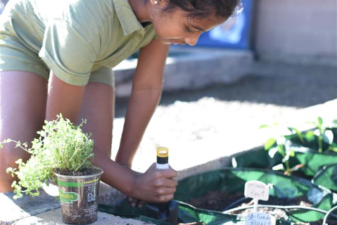 Community Garden Grand Opening - March, 2023