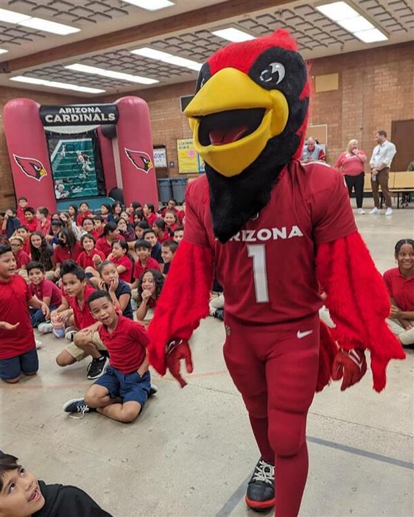 Cardinals & Scheels Assembly