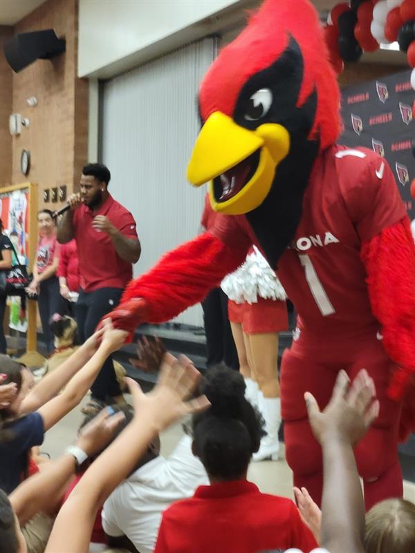 Cardinals & Scheels Assembly