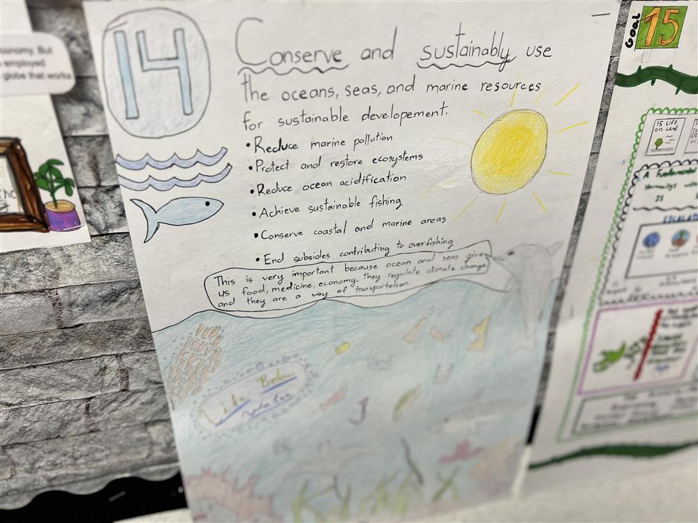 Project Based Learning - September 2023