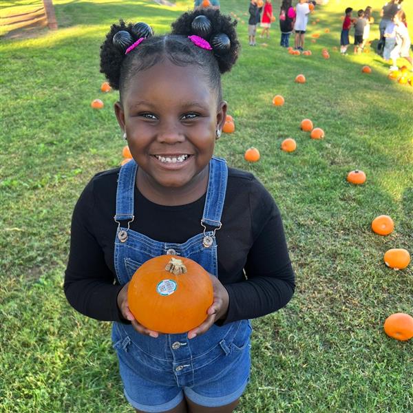 Pumpkin Patch