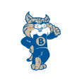 Basha Elementary logo