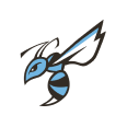 Chandler Online Academy Secondary logo