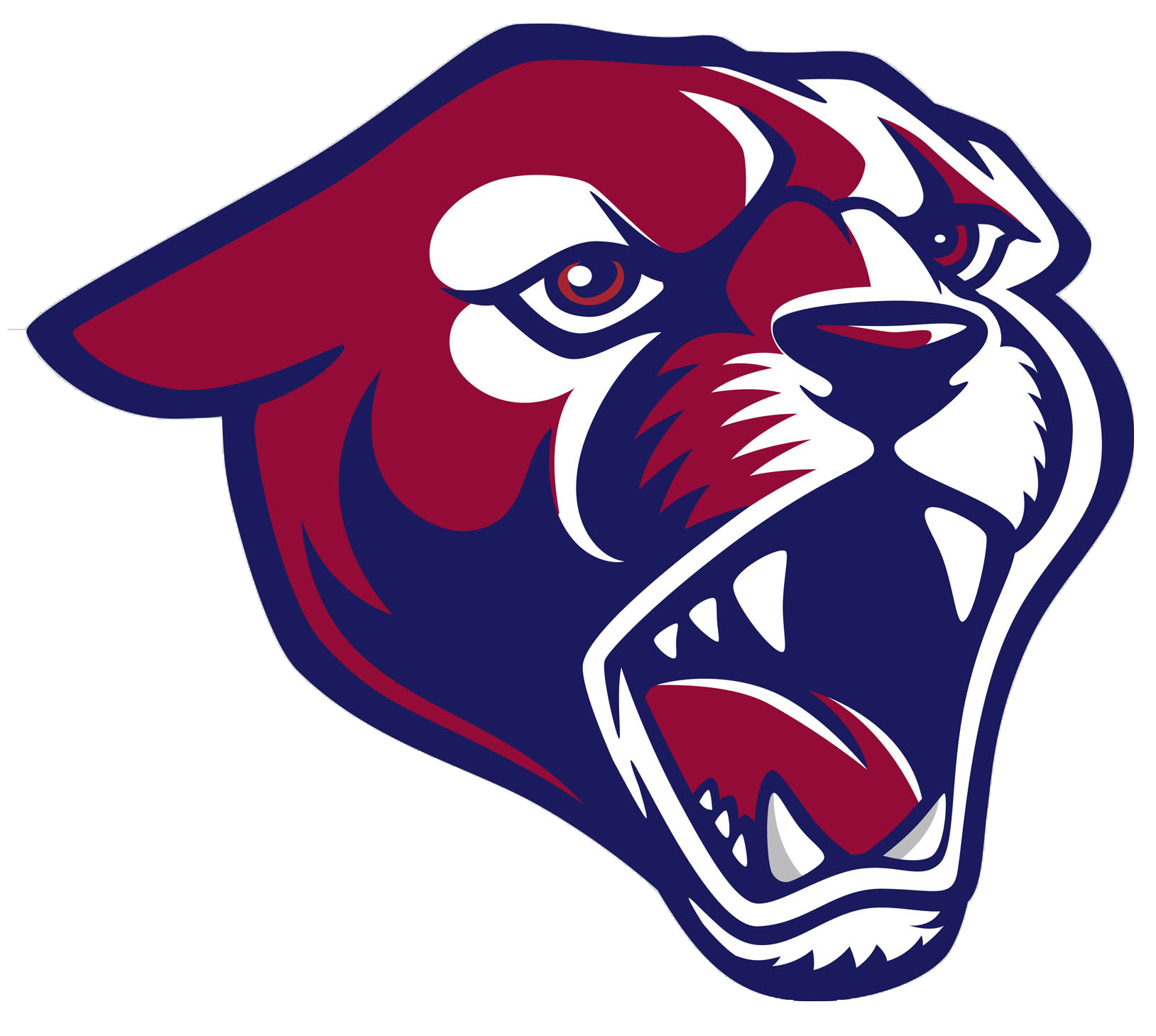 Perry Logo 